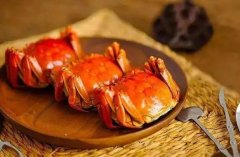 餐桌美食可(kě)别成為(wèi)宠物(wù)的“帮凶”