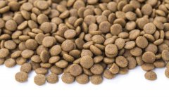狗粮猫粮怎么储存，华兴宠物(wù)食品提示您