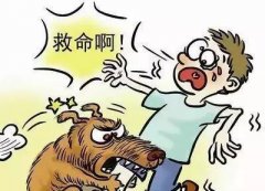如遇恶犬咬人该怎么办(bàn)？这些知识也许能(néng)救命！