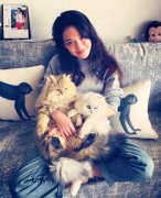 全世界最贵的猫都在这了！大多(duō)数人一辈子都没
