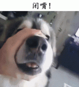 自从养了狗，捡屎官们就多(duō)了这些口头禅……