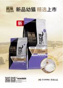 爵加新(xīn)品幼猫精(jīng)选上市！
