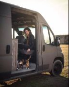流浪猫私自闯上車(chē)被赶出，最后居然搭上顺风車(chē)