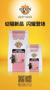 奥丁精(jīng)品幼猫粮闪耀登场！！！