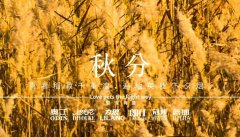 秋分(fēn)丨昼夜分(fēn)画，渐入秋华
