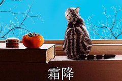 霜降丨纵然霜华尽染，心中(zhōng)美好如初