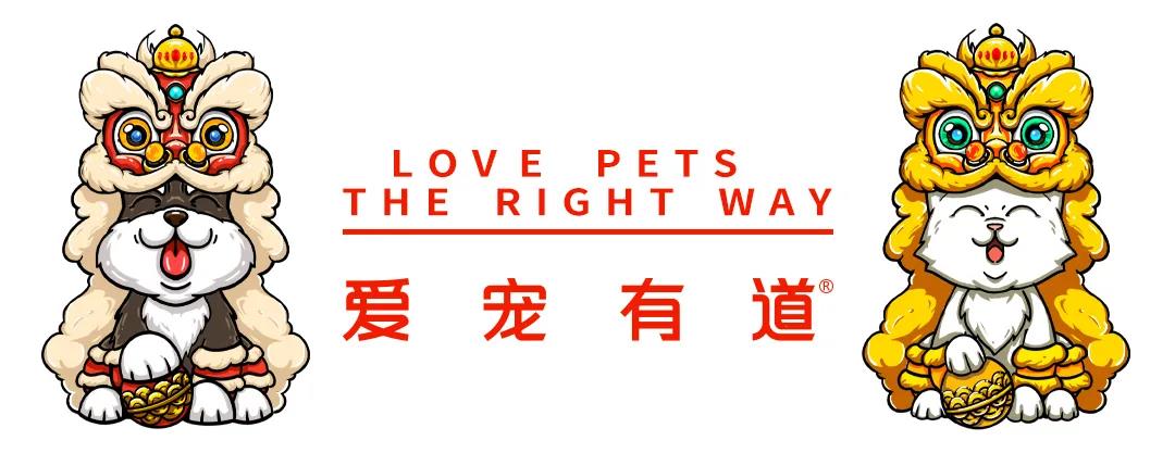 除夕丨辞旧迎新(xīn)岁 团圆幸福年