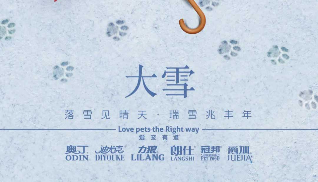 大雪(xuě)丨雪(xuě)落知寒意 久伴见初心！
