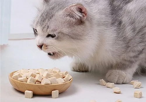 华兴宠物(wù)