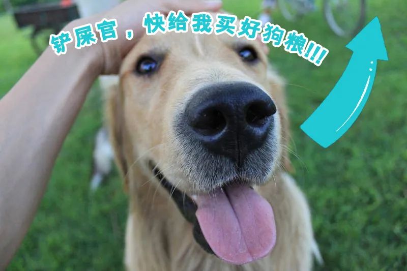 华兴宠物(wù)