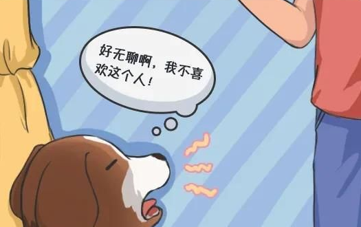 华兴宠物(wù)