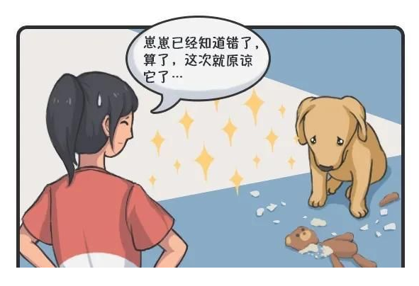 华兴宠物(wù)