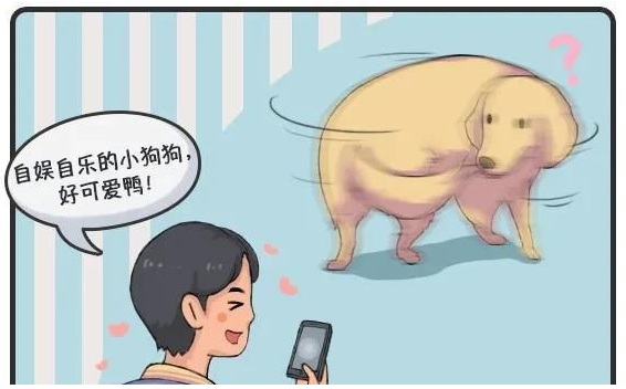 华兴宠物(wù)
