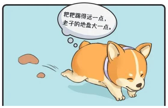 华兴宠物(wù)