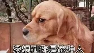 华兴宠物(wù)