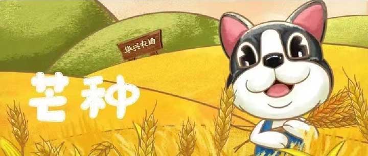 芒种 | 有(yǒu)芒之种 忙有(yǒu)所得