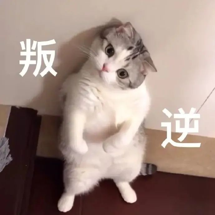 华兴宠物(wù)