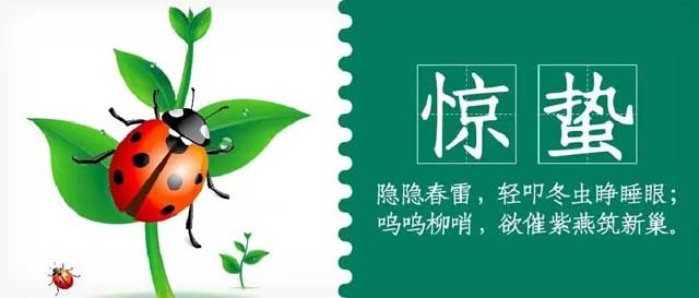 华兴宠物(wù)