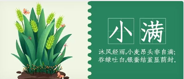 华兴宠物(wù)