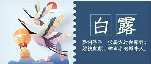 华兴宠物(wù)