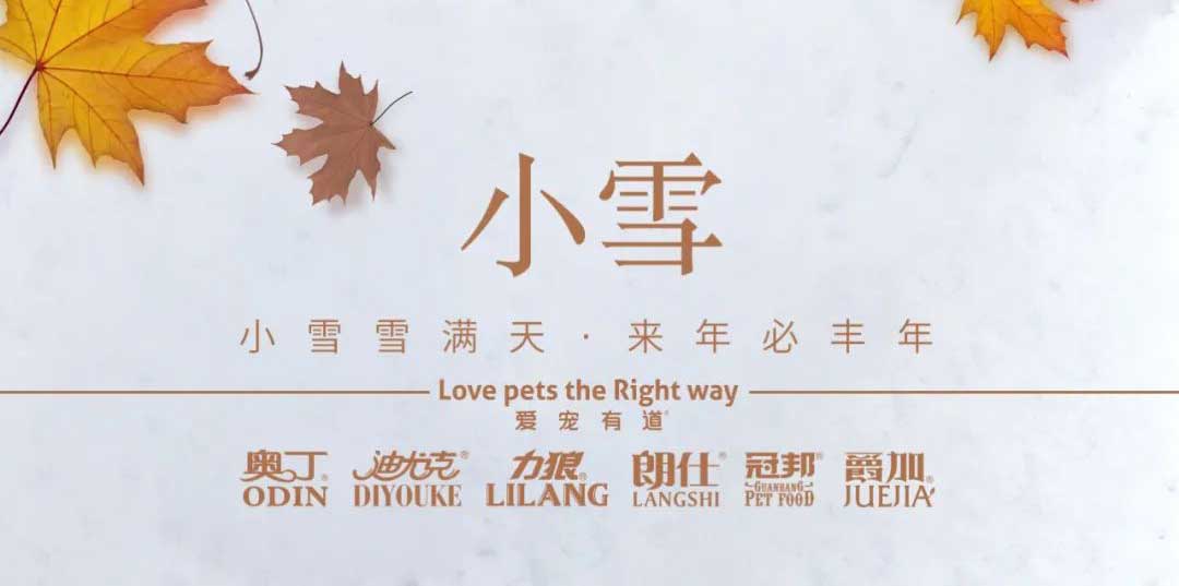 小(xiǎo)雪(xuě)丨天地初寒，岁月安(ān)暖